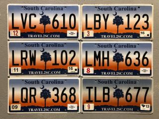 South Carolina License Plate Palm Tree 