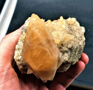Dogtooth Calcite Crystal Cluster: Pugh Quarry.  Weston,  Wood Co. ,  Ohio