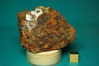 Sericho Pallasite meteorite 133.  6 grams 2