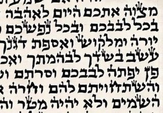 6 " /15cm Large Big Mezuzah Scroll Kosher Mehudar Parchment Klaf Synagogue Temple