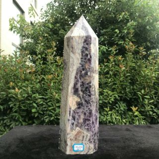 6067g Natural Dream Amethyst Crystal Obelisk Quartz Wand Point Healing