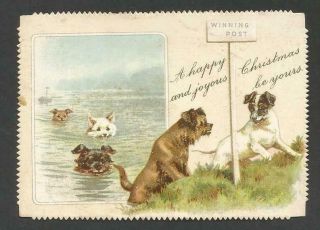 H66 - Dogs Swimming Race - Victorian Xmas Card - Glittered