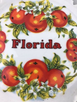 Vintage Florida Souvenir Wall Plate Orange Blossoms Open Edge