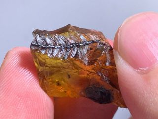 1.  92g Raw Stone Plant Tree Leaf Burmite Myanmar Amber Insect Fossil Dinosaur Age