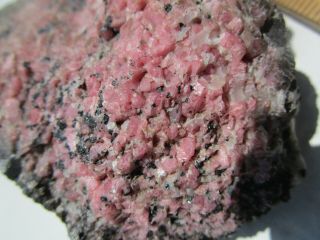 Rhodonite Crystals Fluorescent Mineral Rock Large Franklin C22