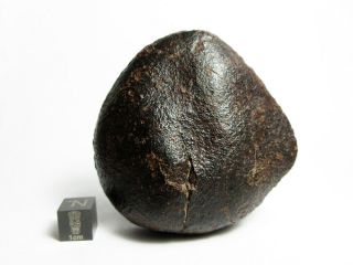 Nwa X Meteorite 123.  76g Oriented Chondrite Capstone