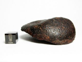 NWA x Meteorite 123.  76g Oriented Chondrite Capstone 3
