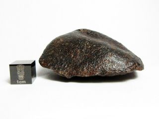 NWA x Meteorite 123.  76g Oriented Chondrite Capstone 4
