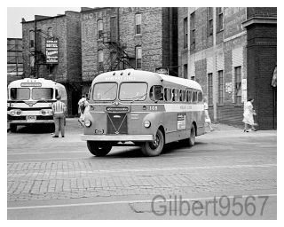 Mercury Lines 8 X 10 Bus Photo 105 Taken Circa 1950