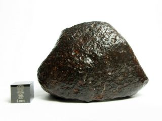Nwa X Meteorite 137.  87g Strikingly Sculpted Space Stone