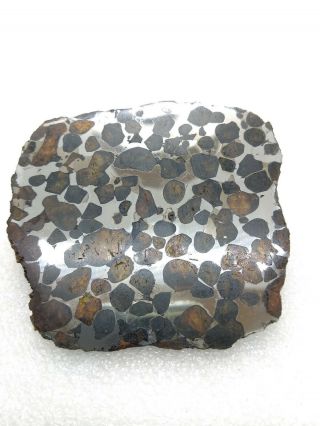 27.  76 Grams.  Full Slice.  Sericho Meteorite Pallasite From Kenya.  Polished.