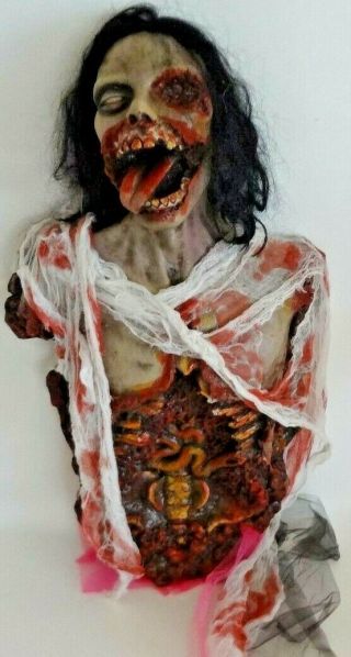 Halloween Prop Rotting Corpse Zombie Intestines Torso Decoration 31.  5 " Height