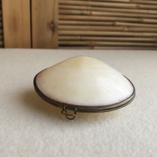 ANTIQUE Vintage CLAM Shell SEASHELL Brass HINGED Coin PURSE Pill TRINKET Box 2