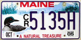 Maine Loon License Plate Duck Mallard Wildlife (random Plate)