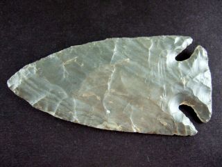 Fine Authentic 4 Inch Collector Grade Kentucky Lost Lake Point Arrowheads 3
