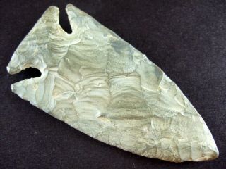 Fine Authentic 4 Inch Collector Grade Kentucky Lost Lake Point Arrowheads 5