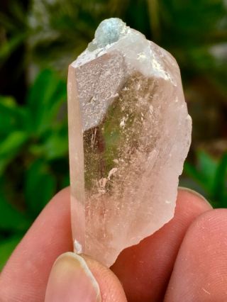 95 C.  T Top Class Damage Terminated Pink Color Morganite Crystal