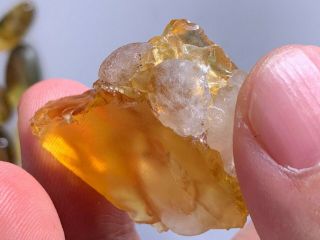 calcite grow in amber Burmite Myanmar Burmese Amber insect fossil dinosaur age 2