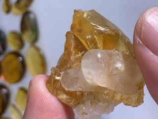 calcite grow in amber Burmite Myanmar Burmese Amber insect fossil dinosaur age 3