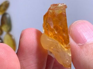 calcite grow in amber Burmite Myanmar Burmese Amber insect fossil dinosaur age 4