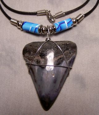 Huge 2 1/16 " Megalodon Shark Tooth Necklace Fossil Teeth Jaw Fishing Surfer Meg