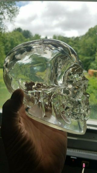 Resin Acrylic Crystal Skull Translucent Skeleton Figurine Resin 6 In Tall X 7 In