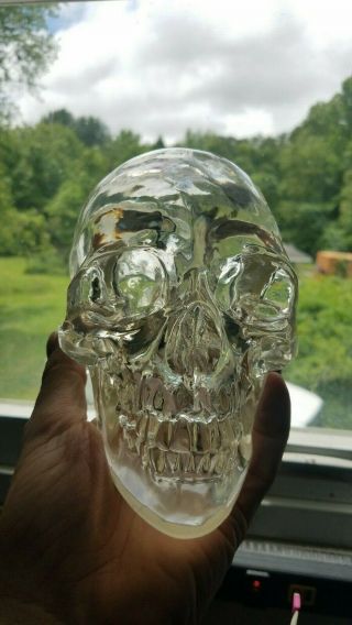 Resin Acrylic Crystal Skull Translucent Skeleton Figurine Resin 6 in tall x 7 in 2