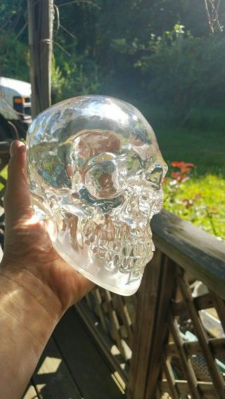 Resin Acrylic Crystal Skull Translucent Skeleton Figurine Resin 6 in tall x 7 in 3