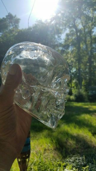 Resin Acrylic Crystal Skull Translucent Skeleton Figurine Resin 6 in tall x 7 in 4