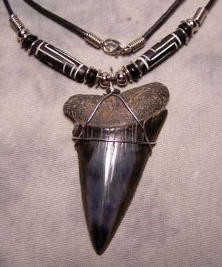 Huge 2 9/16 " Mako Shark Tooth Teeth Necklace Fossil Jaw Megalodon Fishing