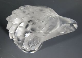 Lalique Crystal Eagle Head Paperweight Art Glass w/Lighted Stand France yqz 7