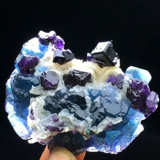 77g Find Natural Cube Deep Purple Fluorite& Blue Cluster Mineral Specimen