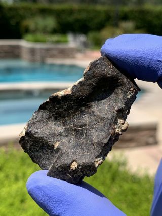 Meteorite Nwa,  Unclassified 68.  63 Grams W/regmaglypts