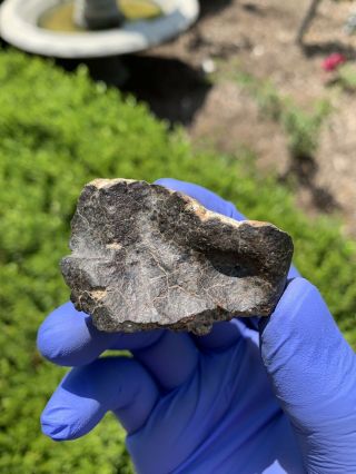 Meteorite NWA,  Unclassified 68.  63 Grams W/Regmaglypts 5