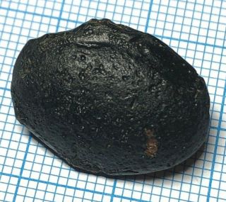 Australite 27: 4g Australian tektite: meteorite impact,  Chipped Oval,  Wave Rim 4