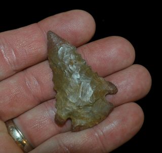 Pine Tree Kentucky Authentic Indian Arrowhead Artifact Collectible Relic