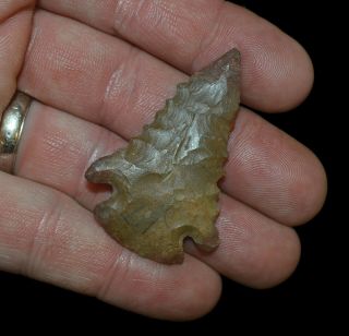 PINE TREE KENTUCKY AUTHENTIC INDIAN ARROWHEAD ARTIFACT COLLECTIBLE RELIC 2