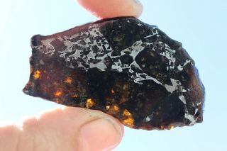 Admire Meteorite Pallasite Full Slice 15.  5 Grams