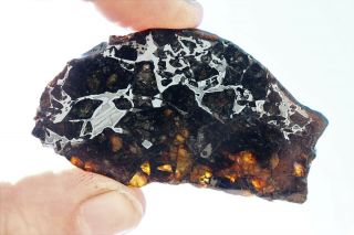 Admire Meteorite pallasite full slice 15.  5 grams 2