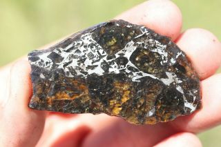 Admire Meteorite pallasite full slice 15.  5 grams 3