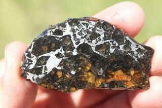 Admire Meteorite pallasite full slice 15.  5 grams 4