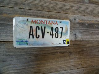 Montana Specialty License Plate Trout Fish Theme License Plate