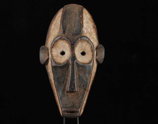 African Tribal Art Bembe wooden Mask from Democratic Republic of Congo DRC 2