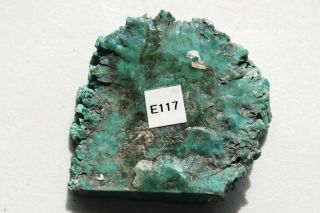A Polished Stand Chromium Green Petrified Wood piece from Arizona E117 3
