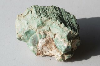 A Chromium Green Petrified Wood Piece From Arizona E743