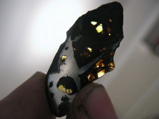 Meteorite Nwa 10023 - Pallasite Full Slice (anomalous - Plessitic)