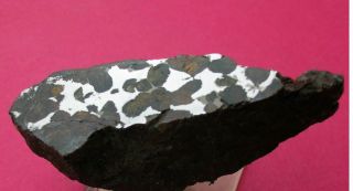 Sericho Pallasite Meteorite - 105.  3 Gram Polished End Cut