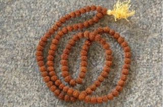 Rudraksha Panchamukhi Mala Bead Size - 5.  5mm / Consecrated By Sadhguru/ 108,  Beads