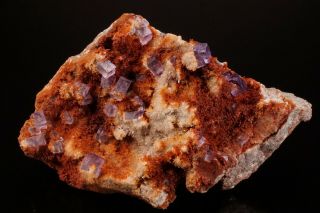 Unique Purple Fluorite Crystal Cluster Ojuela Mine,  Mexico