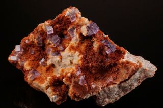UNIQUE Purple Fluorite Crystal Cluster OJUELA MINE,  MEXICO 2